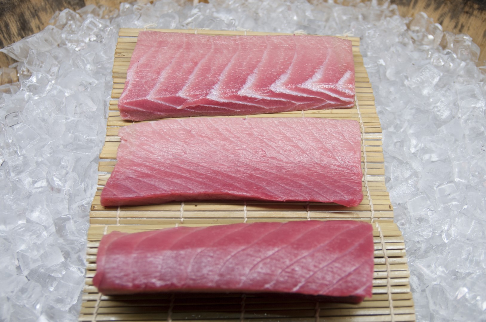 Option 1: Bluefin Tuna